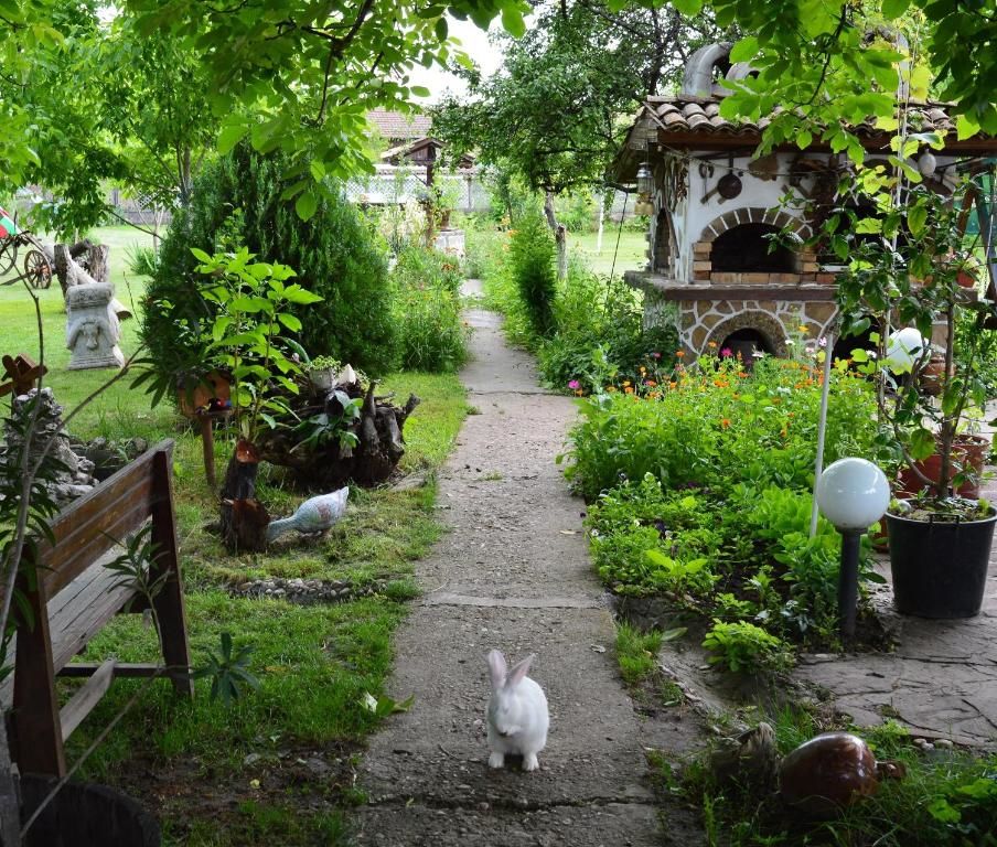 Гостевой дом The Old House Guest House Obedinenie